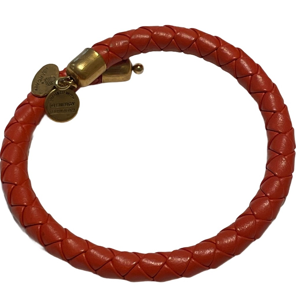 Alex And Ani Braided Leather Wrap Bracelet Bangle.